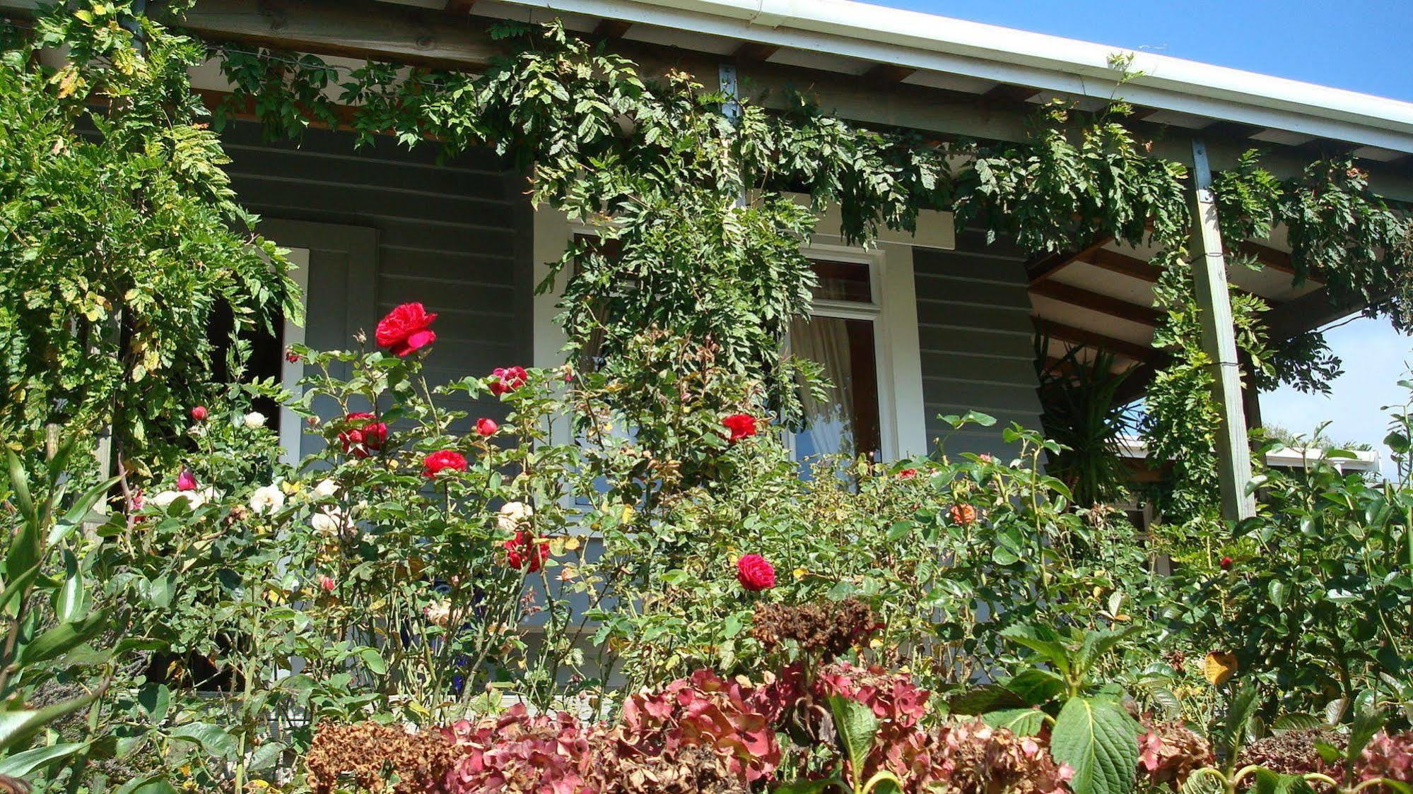 Olde Mill House B&B & Bike2Wine Cycle Hire Renwick Exterior foto
